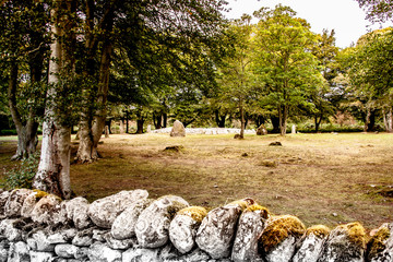 Steinkreis Clava Cairn nahe Inverness
