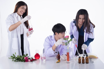 The scientists conducting experiments in laboratory,team of researchers in Chemical and nature organic extract,aromatic essential research in Lab test
