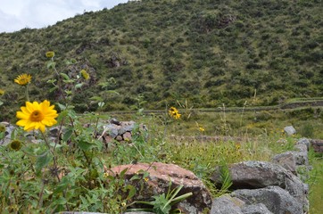 南米、ペルーの山風景