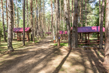 wooden camping arbors  with all conviniences in a pine forest