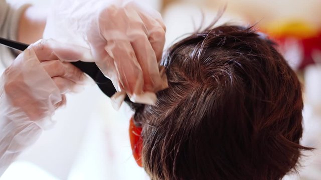 Female hairdresser in protective transparent gloves dyeing short brunette hair in beauty salon. Stylist using professional hairbrush and applying brown tint on hair roots. Process of coloring hair