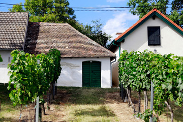 Fototapeta na wymiar Traditional winemaker village in Lower Austria. Wine region. Traditional wine houses and cellars. 