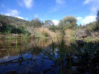 Paesaggio