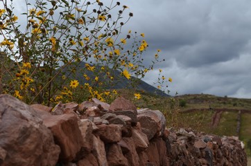ペルー, 南米, 遺跡, 大自然, 山