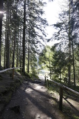 Path in the forest, nature in Slovakia. 