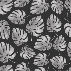 Fototapeta premium Monstera leaf pattern in black and white