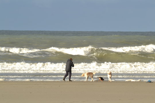 man making pictures of his dogs on Dutch beach with breakers