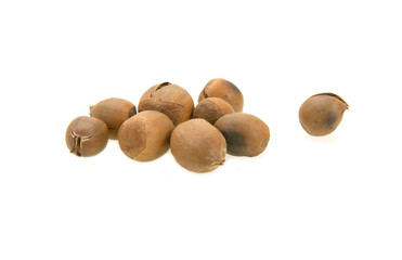 Chestnuts isolated on white background,