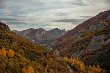 view of mountains in autumn