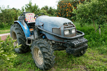 Old blue tractor on the garden meadows