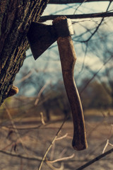 old ax stuck in a tree