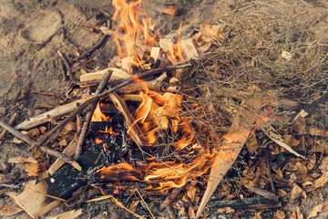 bonfire from small branches in nature