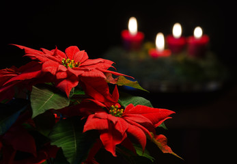 Weihnachtsstern mit Kerzen