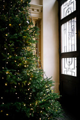 Blurred lights on Christmas tree inside of historical building. Traditional Christmas atmosphere. Old times feeling. 