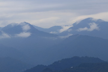 Obraz premium raptor