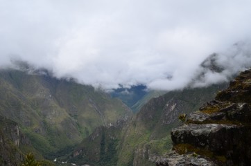 南米　自然　風景　森