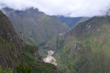 Fototapeta na wymiar 南米　自然　風景　森