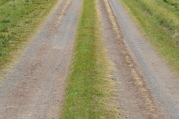 Fototapeta na wymiar Dirt road in autumn field. Travel through countryside off road