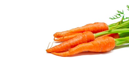 fresh carrots isolated on a white background. Bunch of baby carrots isolated on white background.