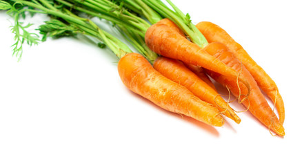 fresh carrots isolated on a white background. Bunch of baby carrots isolated on white background.