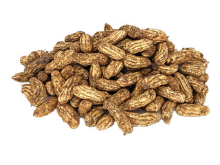 Erdnüsse frisch geerntet