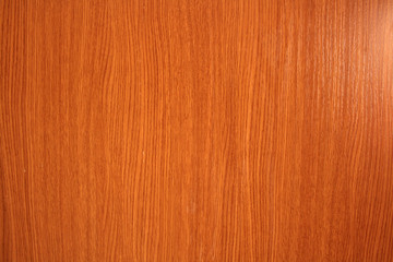 WOOD DOOR TEXTURE