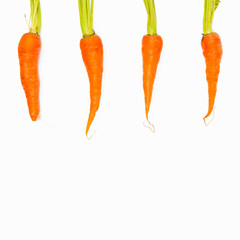 fresh carrots isolated on a white background. Bunch of baby carrots isolated on white background.