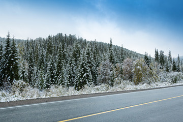 Naklejka premium ice on winter asphalt road, road trip to mountains, roadbed in woods, dangerous cold snap on way