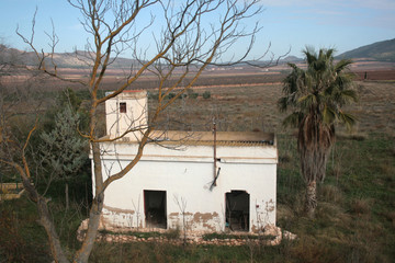 ABANDONED BUILDING BETWEEN THE TREES