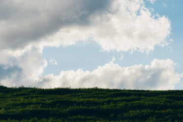 Obraz premium cumulus clouds over rock ridge, waiting for rain in mountain valley