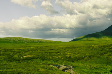 Fototapeta na wymiar Soft hills with green grass under cloudy sky