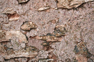 STONE ALL TEXTURE 