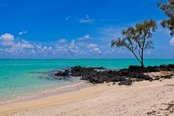 tropical beach with tree and rocks