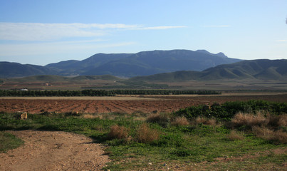FIELDS AND MOUNTAINS LANDSCAPE