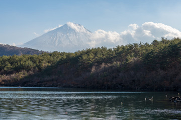 Der Fuji über dem Saiko See