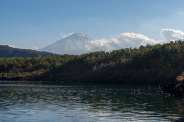Der Fuji &uuml;ber dem Saiko See