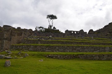 マチュピチュ　風景