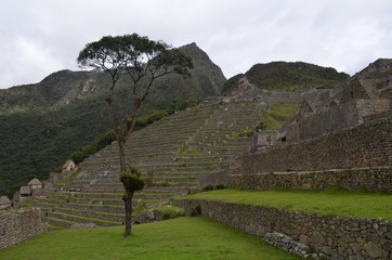 マチュピチュ　風景