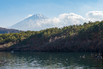 Der Fuji &uuml;ber dem Saiko See