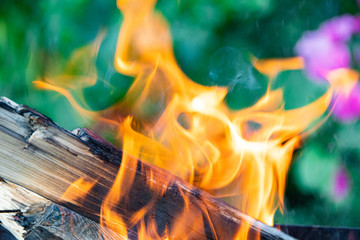 flames of fire rise above coals. Campfire for outdoor recreation, barbecue