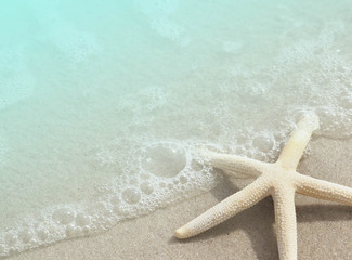 Fototapeta na wymiar Starfish on Beach Sand for background