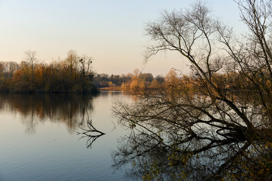 Lacs de Viry Chatillon et Grigny, Lacs revivifi&eacute;s et sites naturels prot&eacute;g&eacute;s, 91