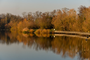 Fototapeta na wymiar Lacs de Viry Chatillon et Grigny, Lacs revivifiés et sites naturels protégés, 91