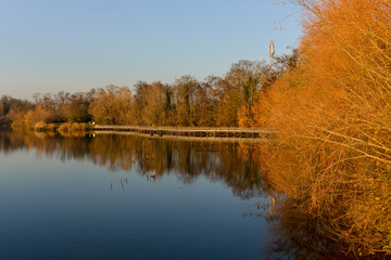Lacs de Viry Chatillon et Grigny, Lacs revivifiés et sites naturels protégés, 91