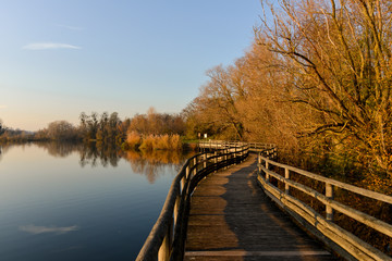 Lacs de Viry Chatillon et Grigny, Lacs revivifiés et sites naturels protégés, 91