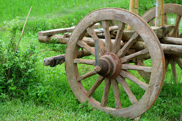The wooden wheel of an old bullock cart in the green field © jobi_pro