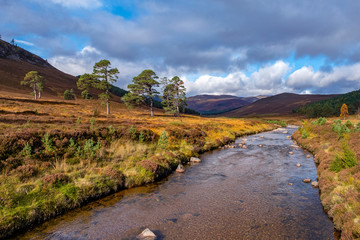 Small river running through the Cairngorms National Park , Scotland UK