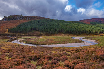 Small river running through the Cairngorms National Park , Scotland UK
