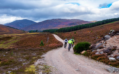 Narrow dirt road running through the Cairngorms National Park&nbsp;, Scotland, UK