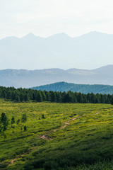 Obraz premium silhouette of mountain range in haze on horizon in mountain valley. Hiking in wild